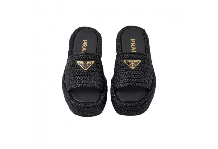 PRA SLIDES PS-1