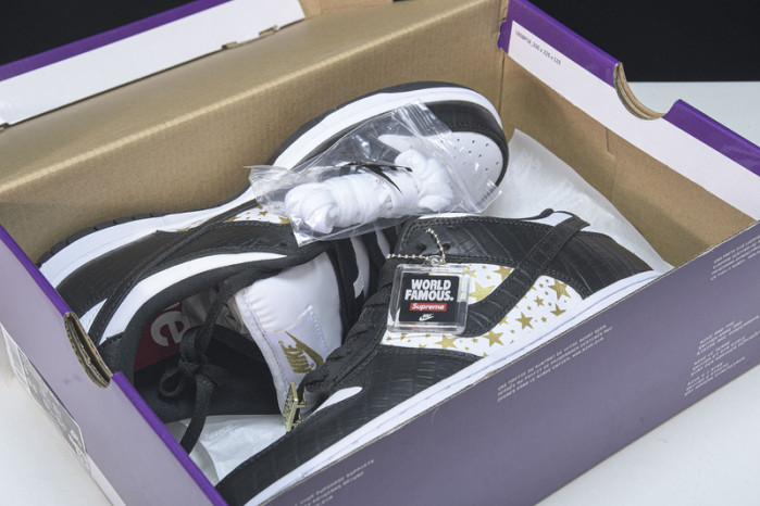 nike sb dunk low dh3228-102