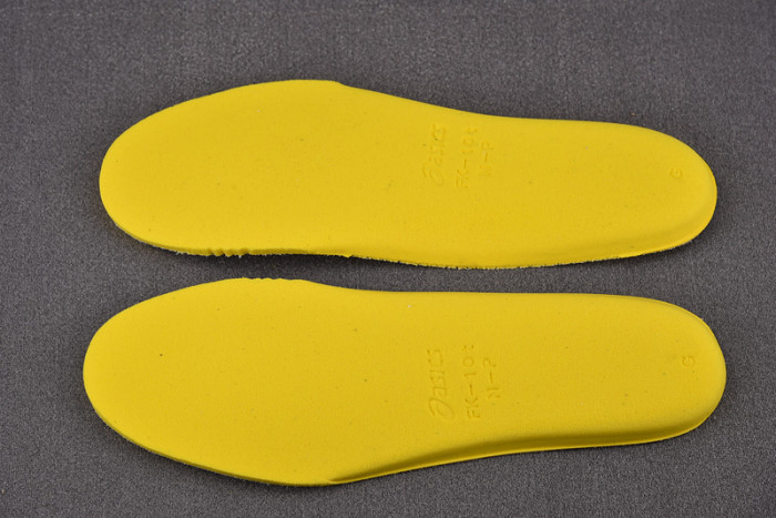 a_sics gel as13