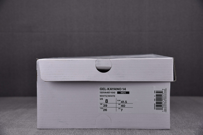 a_sics gel as13